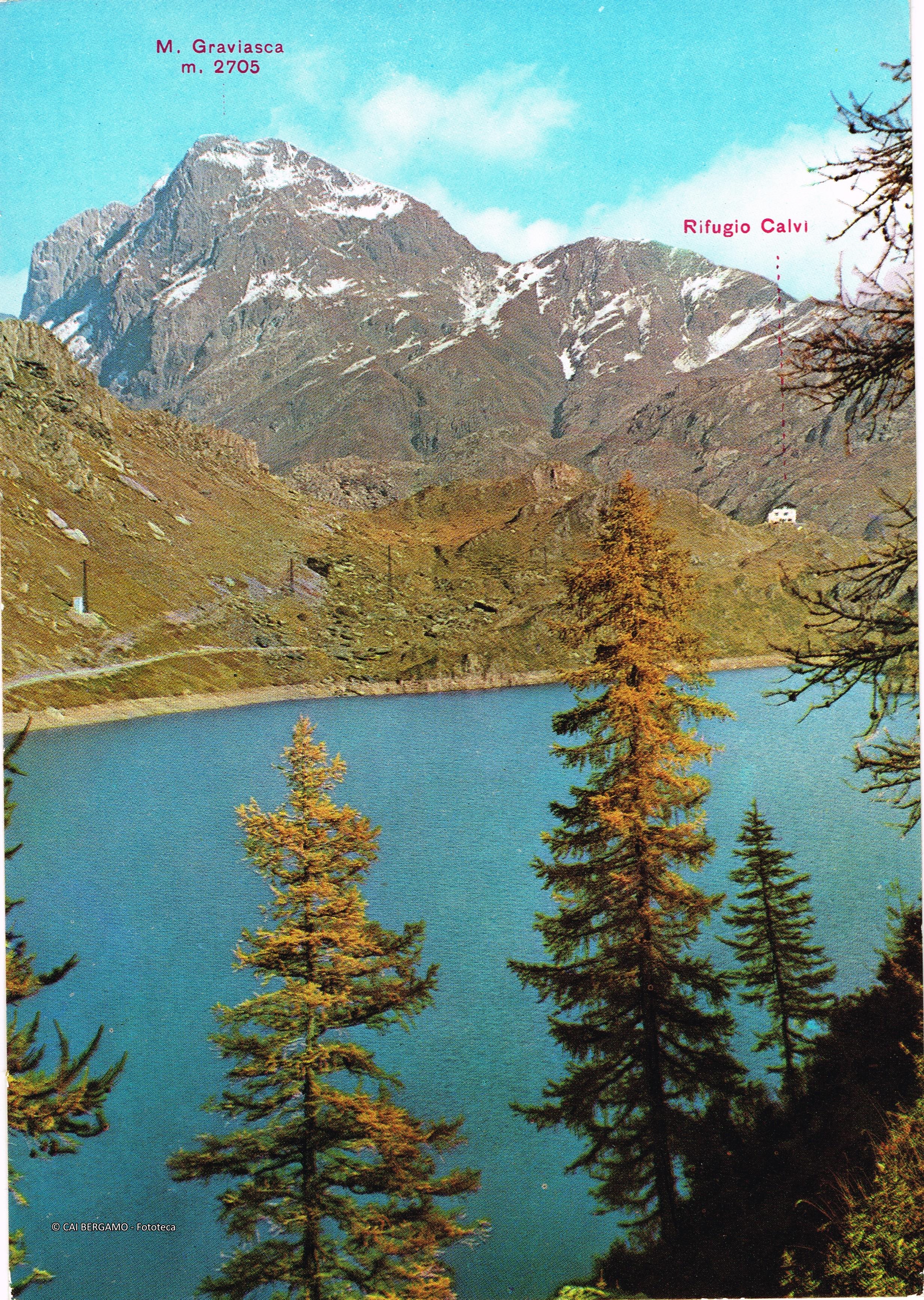 Zona Calvi