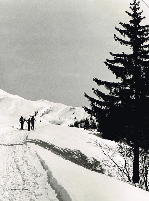 Prealpi Bergamasche