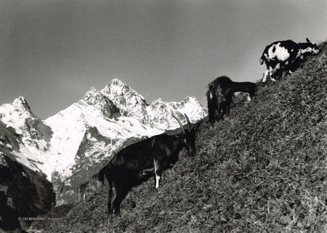 Alpi Orobiche