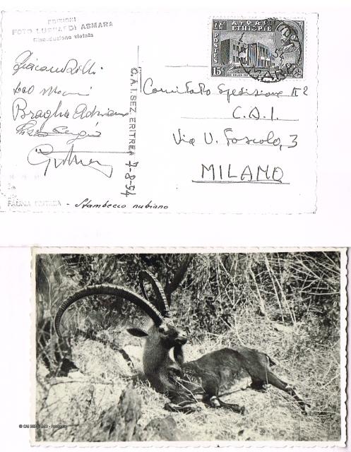 Spedizione italiana al K2 1954