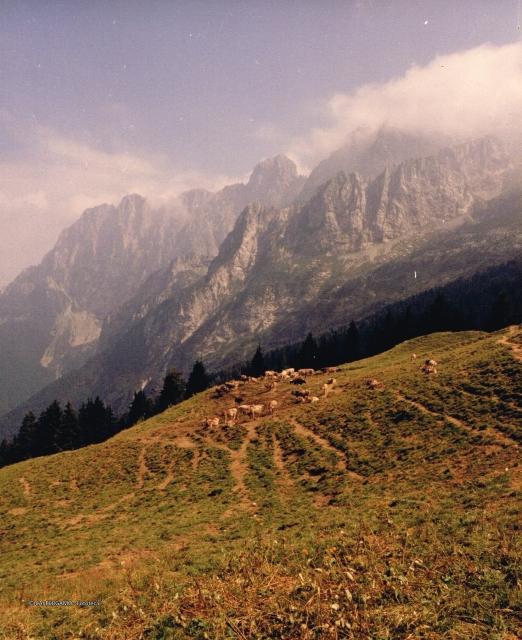 Prealpi Bergamasche