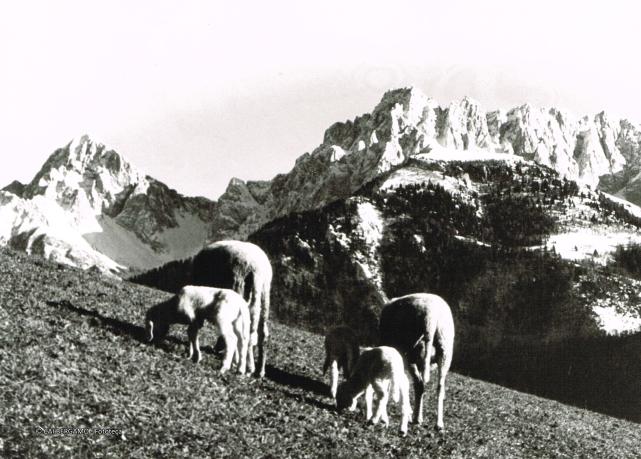 Prealpi Bergamasche
