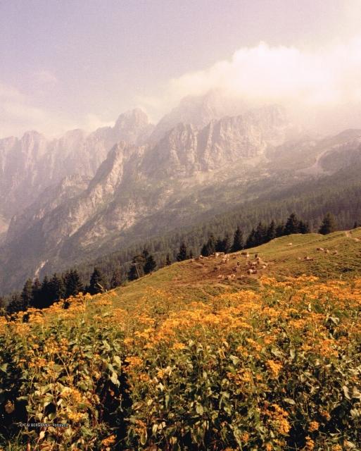 Prealpi Bergamasche