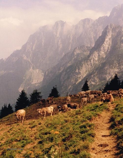 Prealpi Bergamasche