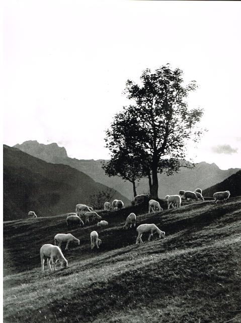 Alpi Orobiche