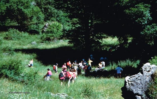 TransOrobica 2000