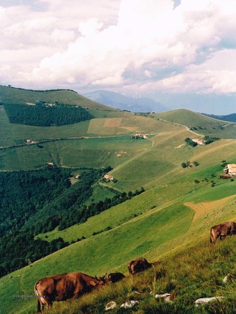 Prealpi Bergamasche