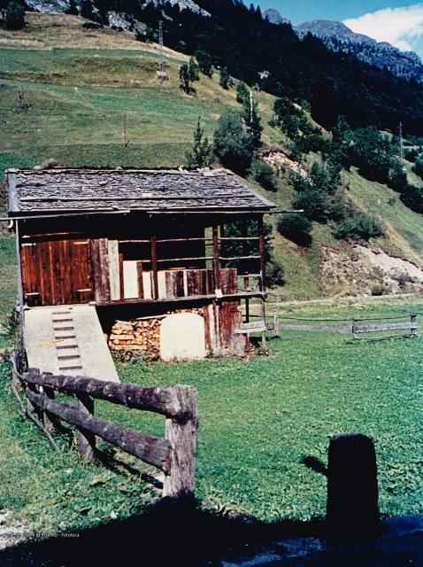 Dolomiti