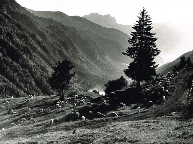 Prealpi Bergamasche