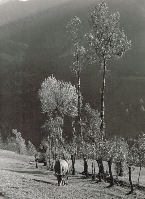 Prealpi Bergamasche