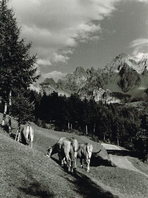 Prealpi Bergamasche