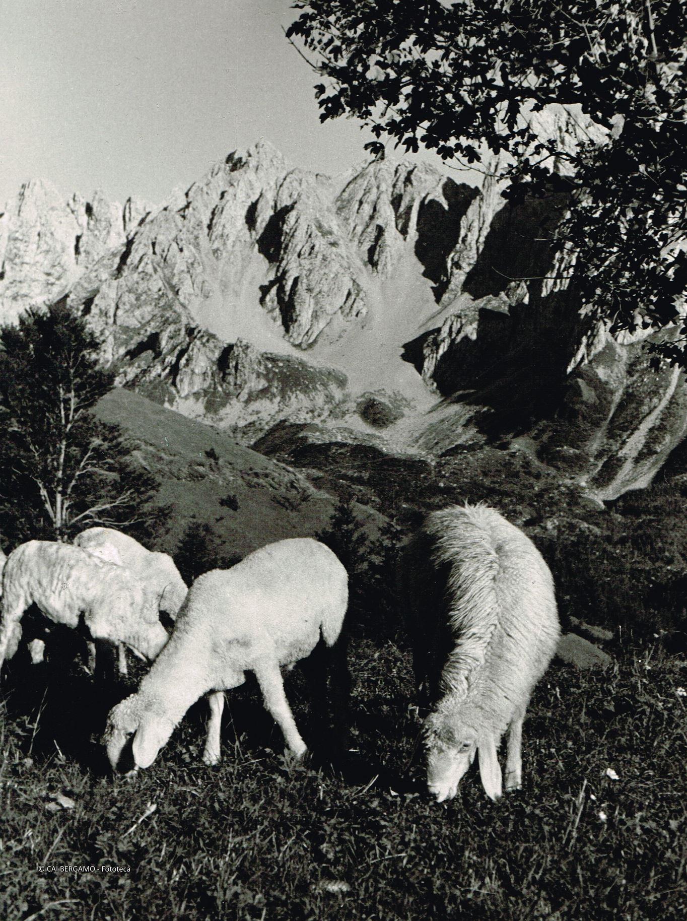 Prealpi Bergamasche