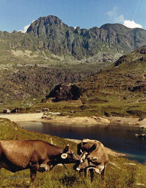Alpi Orobiche