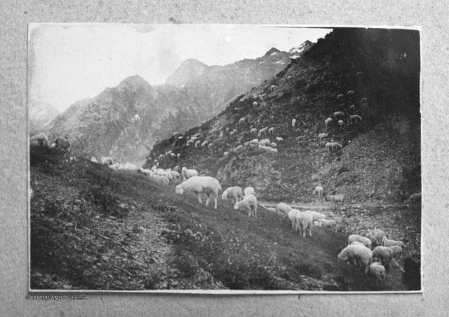 Album Fotografico Nr. 1 - anni 1910/29