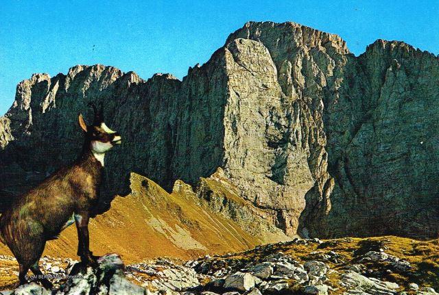 Prealpi Bergamasche