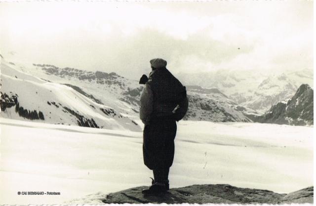 Alpi Svizzere