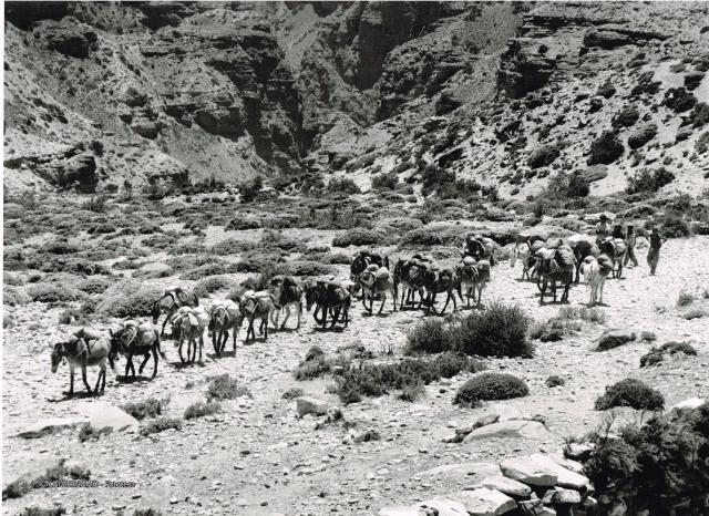 Mostra Himalaya 2000 di Giancelso Agazzi