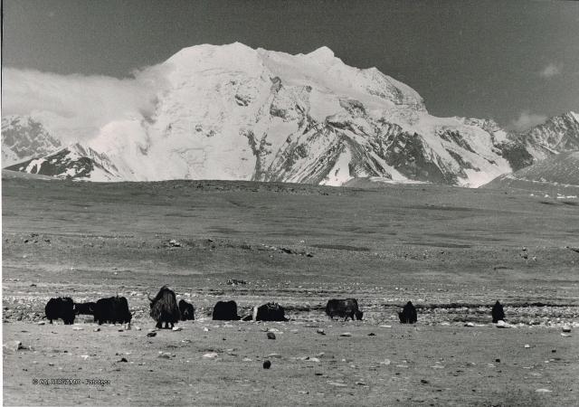 Mostra Himalaya 2000 di Giancelso Agazzi