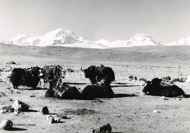 Mostra Himalaya 2000 di Giancelso Agazzi