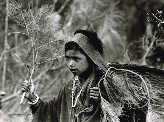 Mostra Himalaya 2000 di Giancelso Agazzi