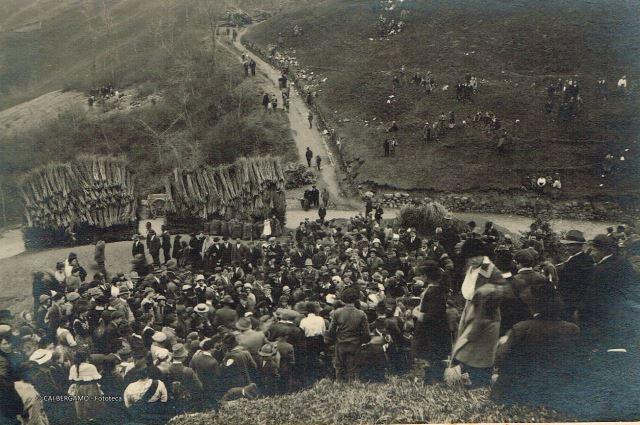 Festa degli Alberi