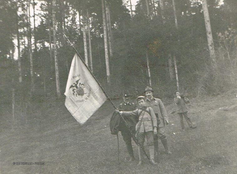 Festa degli Alberi