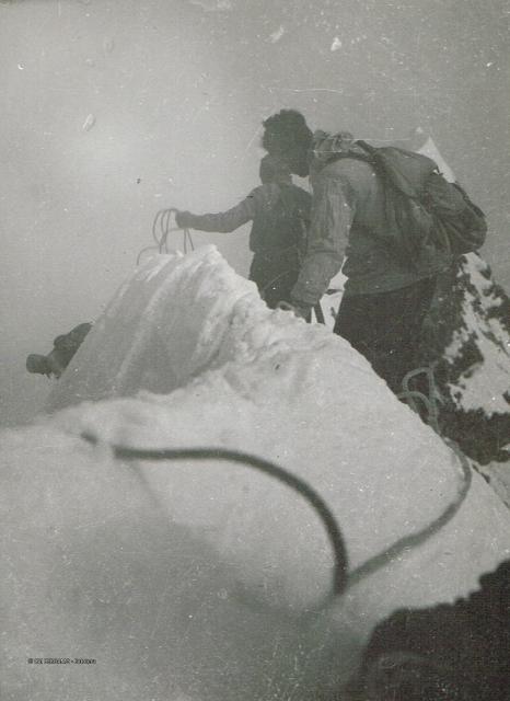 Alpinisti