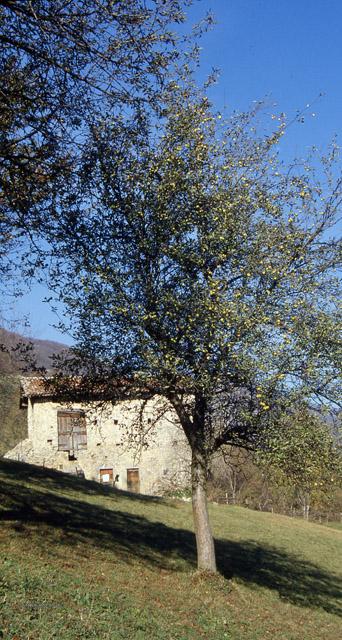 A spasso sopra San Pellegrino Terme