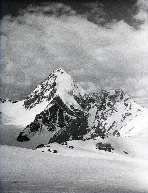 Cevedale (sci, giugno 1946)