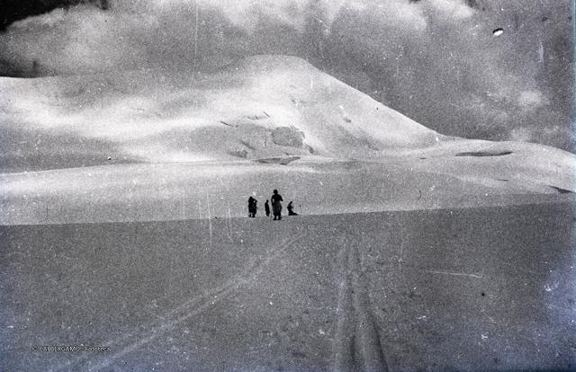 Cevedale (sci, giugno 1946)