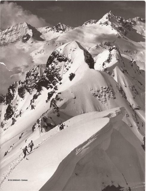 Trofeo Parravicini 38° 1985