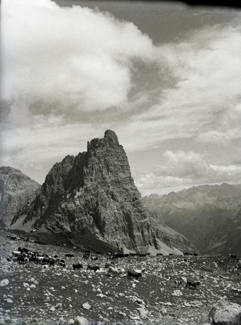 Vista da Grange di Valle Stretta e mandria in alpeggio