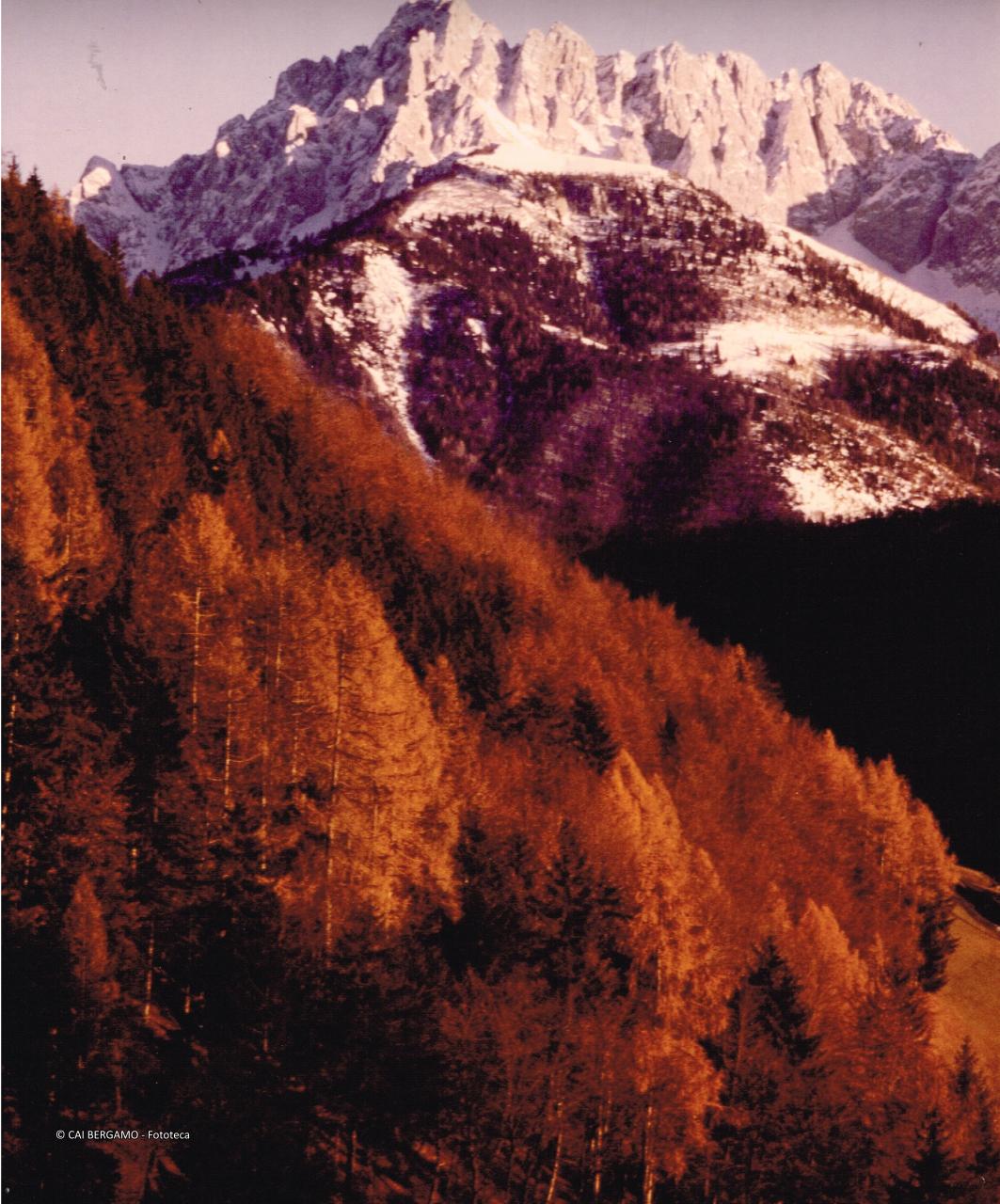 Il Pizzo Camino (Val di Scalve)