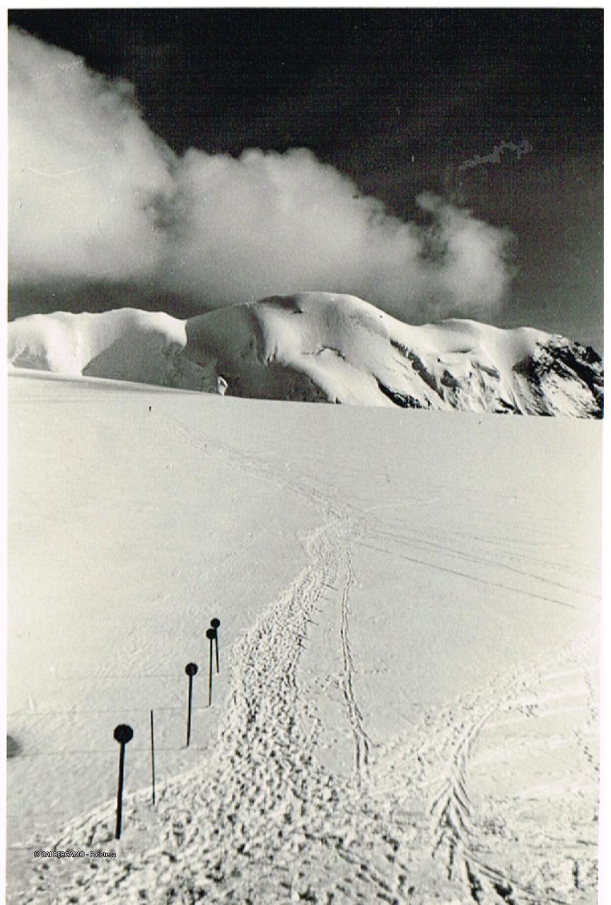 Il M. Cristallo dal Rif. Livrio