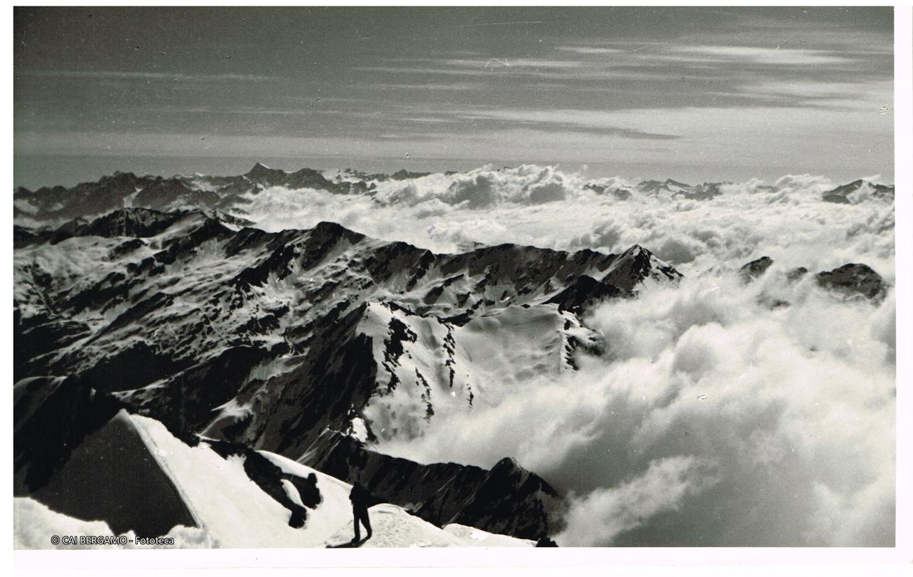 Sullo sfondo il gruppo dell'Adamello