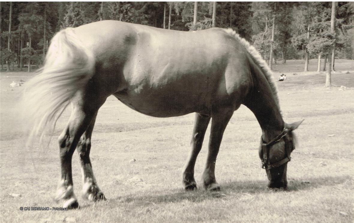 Agli Spiazzi di Boario
