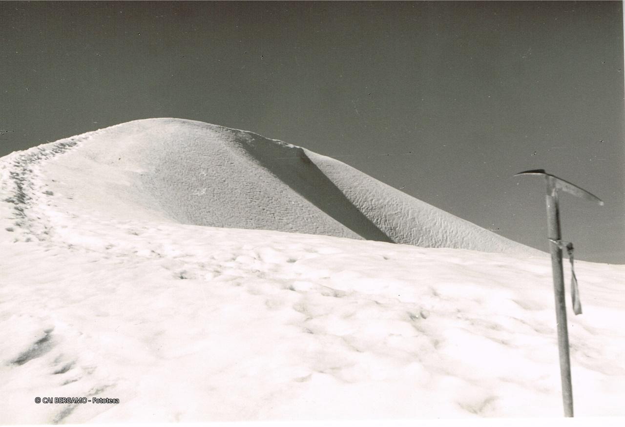 Vetta della Cima Tosa 