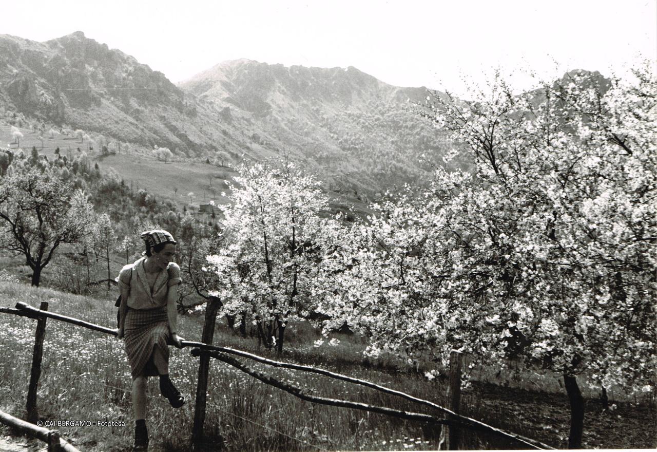 "Sui prati di Spettino"