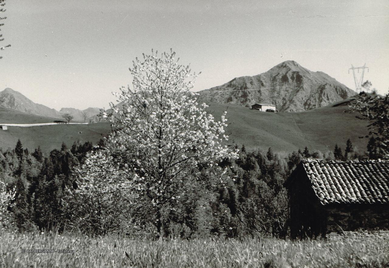 "Il Monte Zucco o Gioco visto da sopra Dossena"