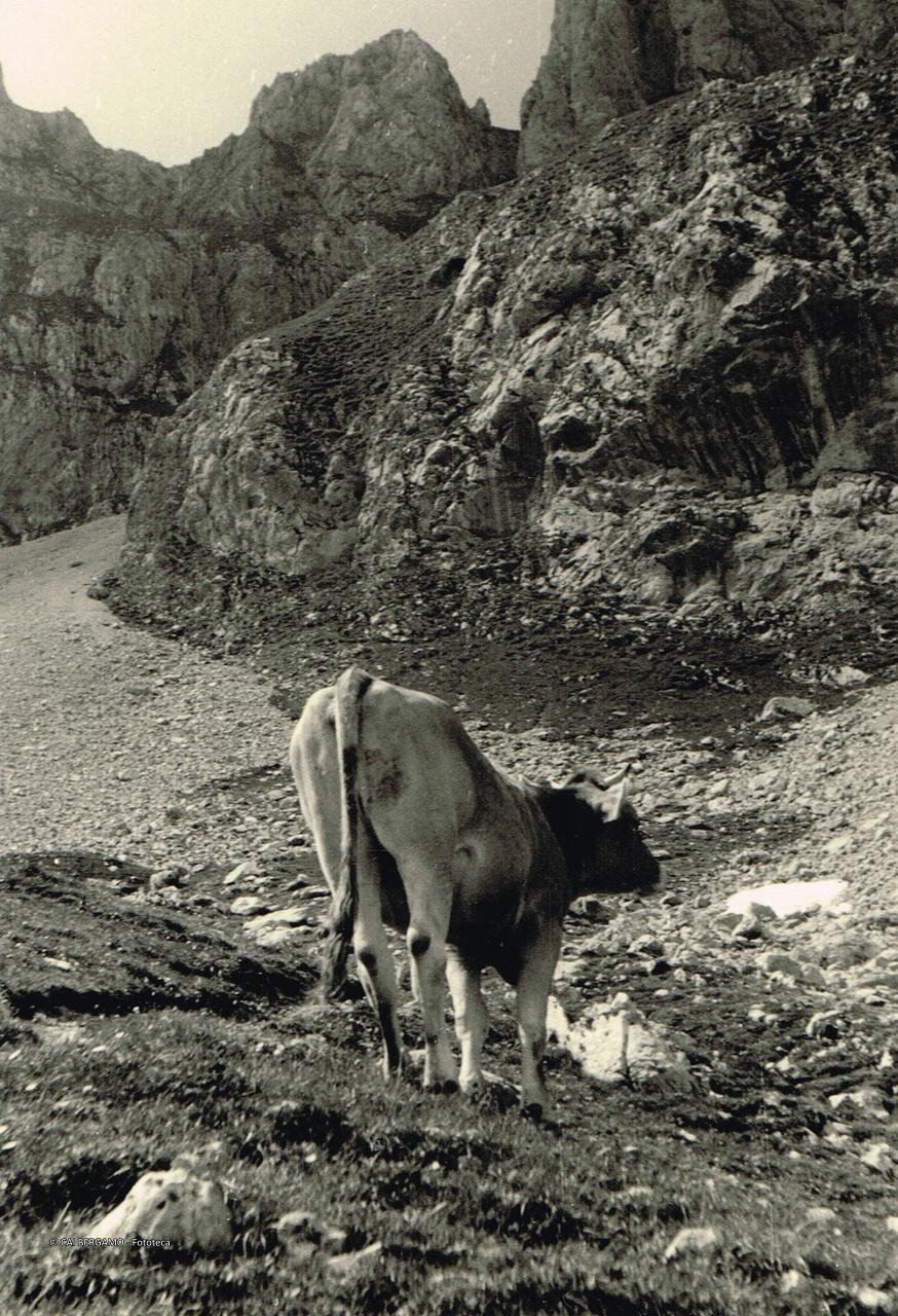 "Sotto la Grotta dei Pagani"