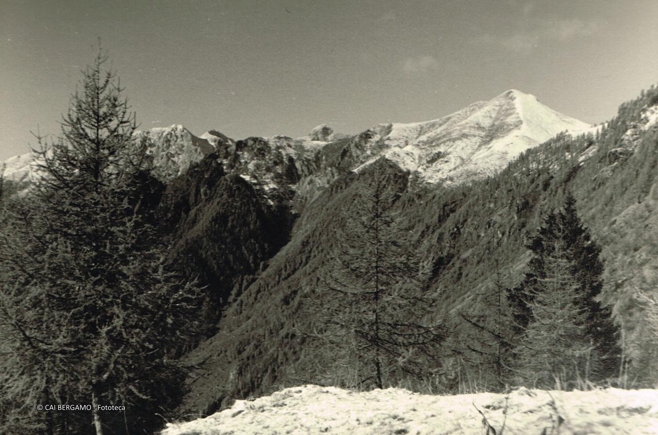"Il M. Vescovo dalla Val Sambuzza"