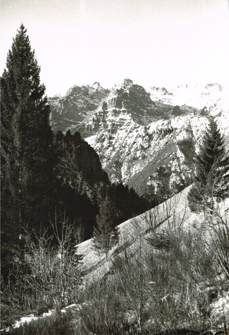 "Dal bosco di Monte Avaro verso la Cornetta"