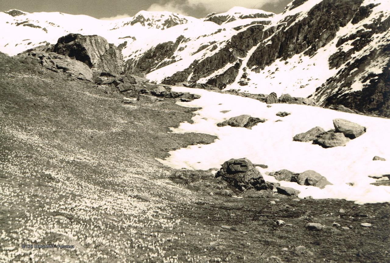 "Nelle vicinanze della Baita Passevra"