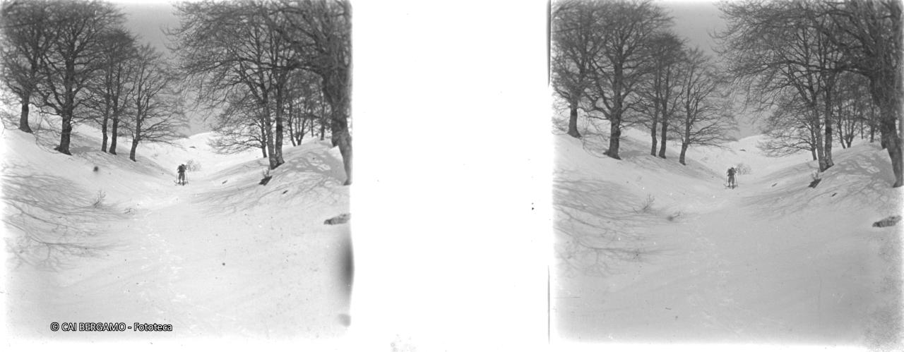 Lungo la salita tra le ultime piante