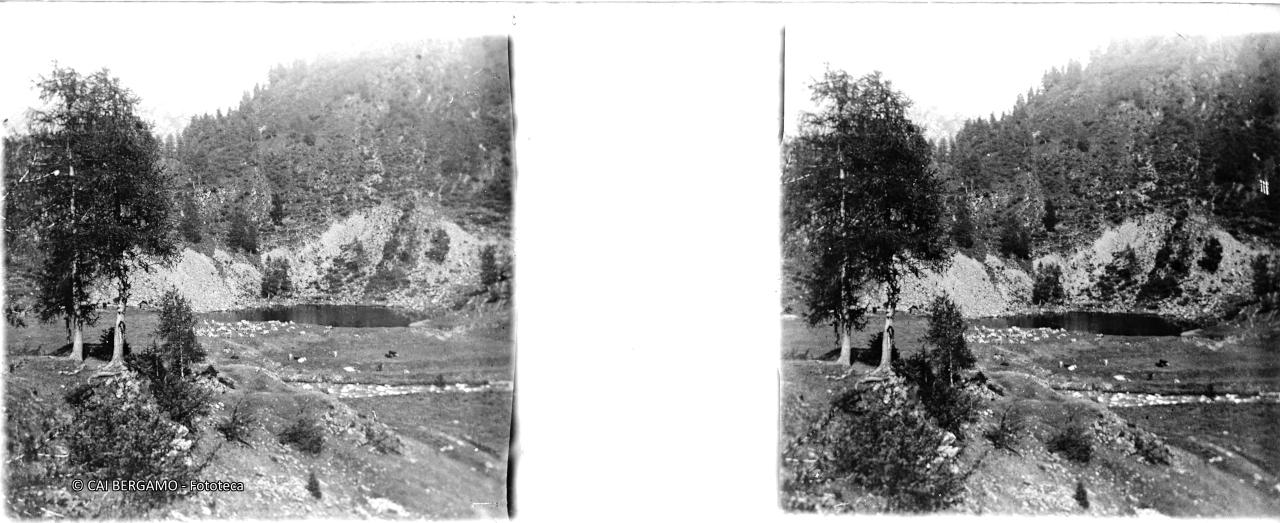 Laghetto alpino con pecore e betulle in primo piano