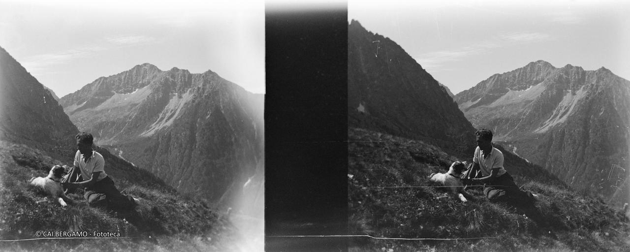 Passeggiata col cane