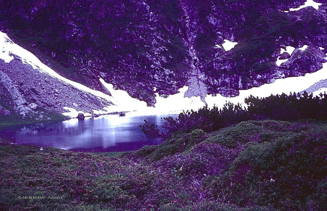 Obersee (1903)