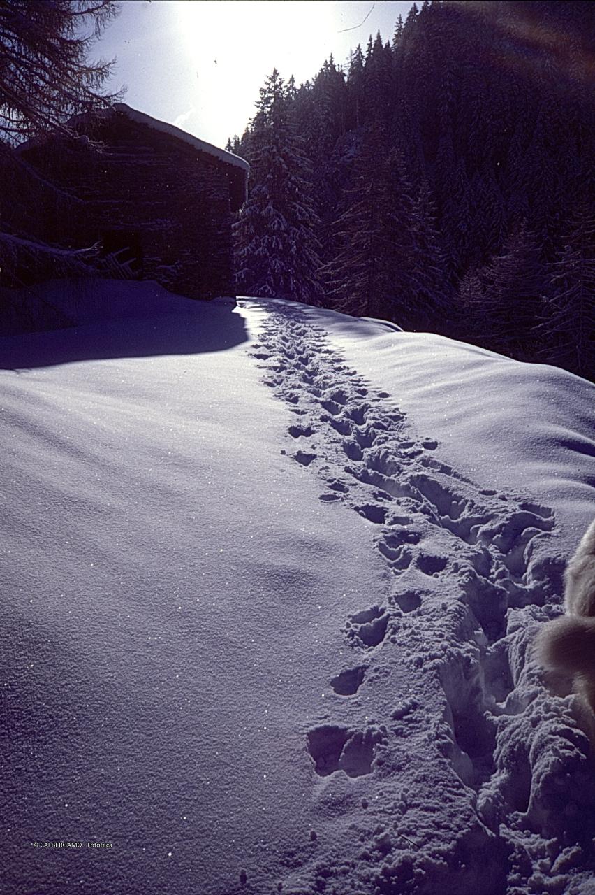 Percorso segnato dal passaggio nella neve