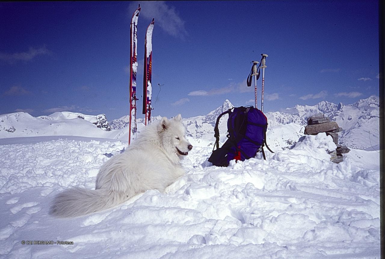 Vista sui Diavoli con cane e sci in primo piano