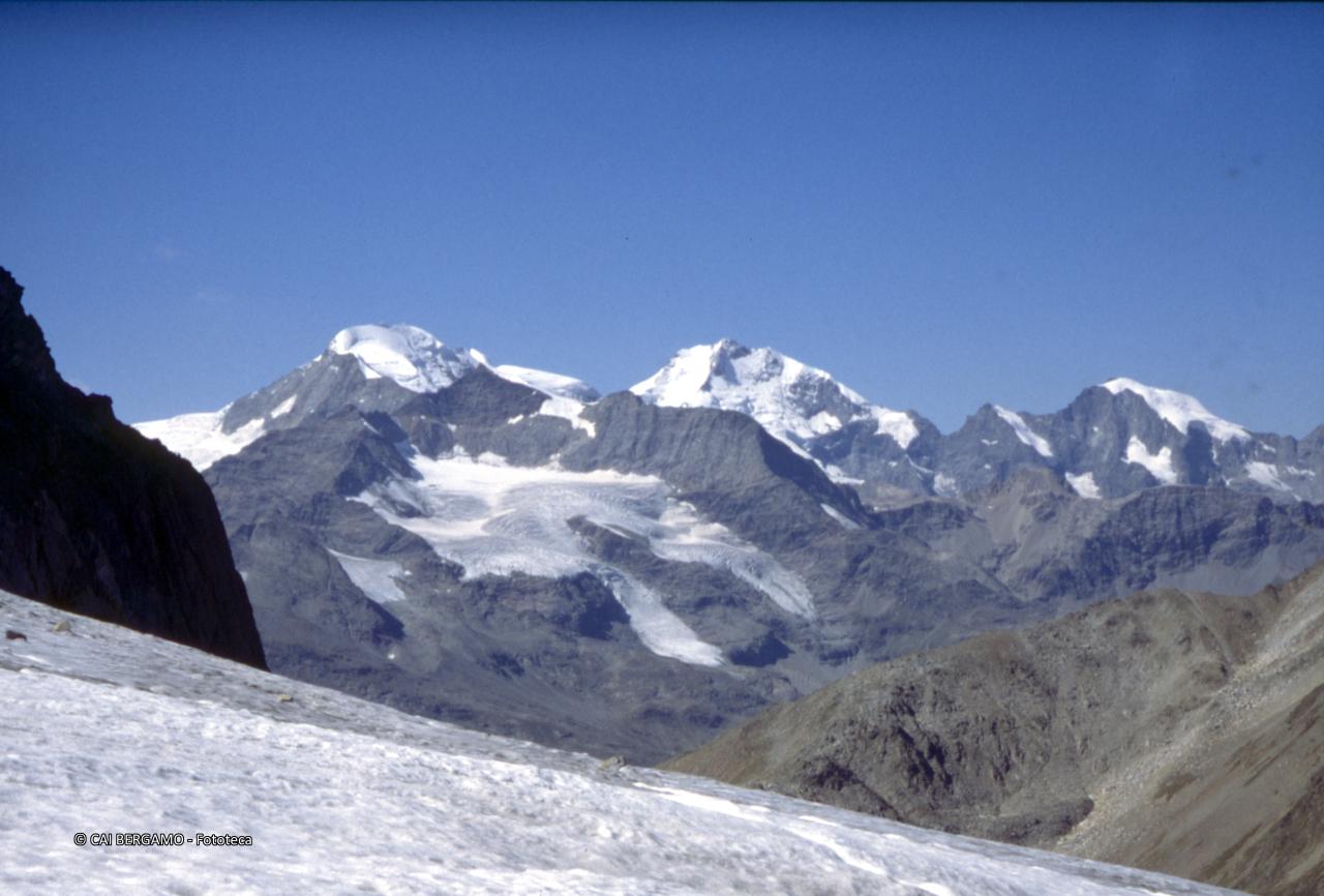Gruppo del Bernina con antistante Piz Palù e Punta Carale (?)